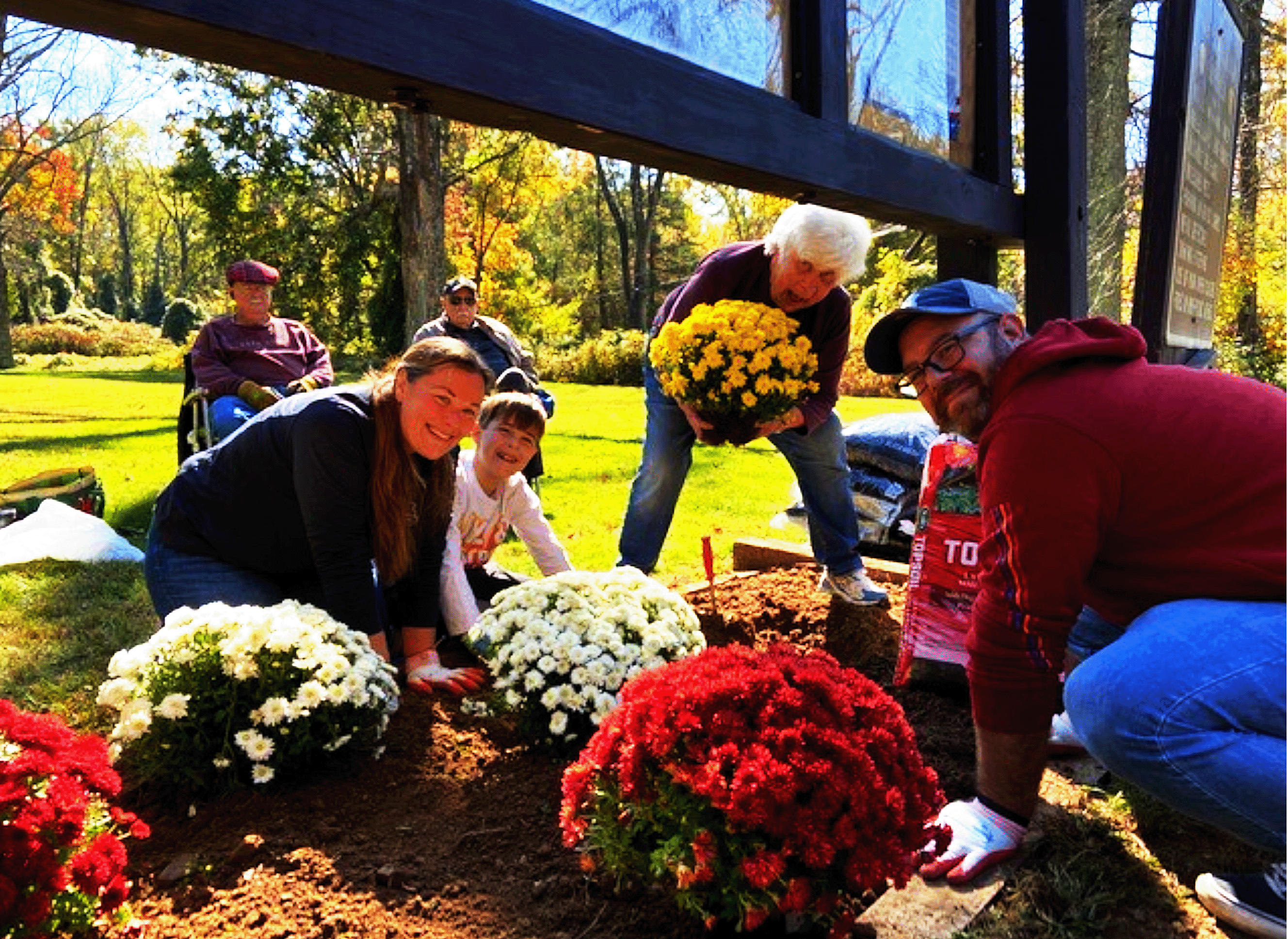 CUD - Mum Planting